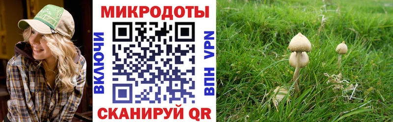 Галлюциногенные грибы Cubensis  Руза 